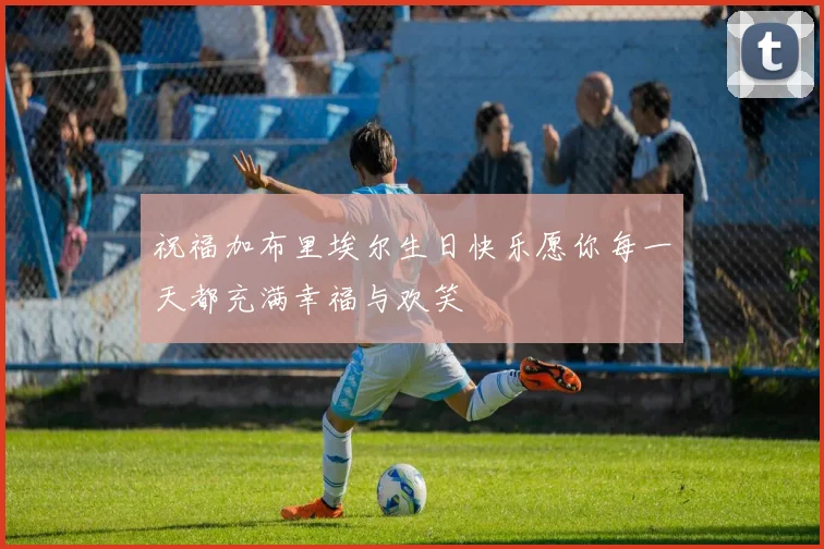 祝福加布里埃尔生日快乐愿你每一天都充满幸福与欢笑
