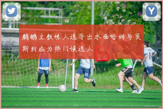 鹈鹕主教练人选浮出水面哈姆与莫斯利成为热门候选人